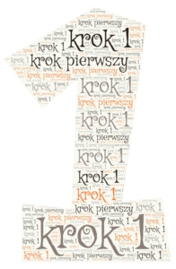 pozycjonowanie - krok pierwszy