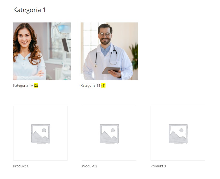 Wyświetlenie podkategorii nad produktami w Woocommerce