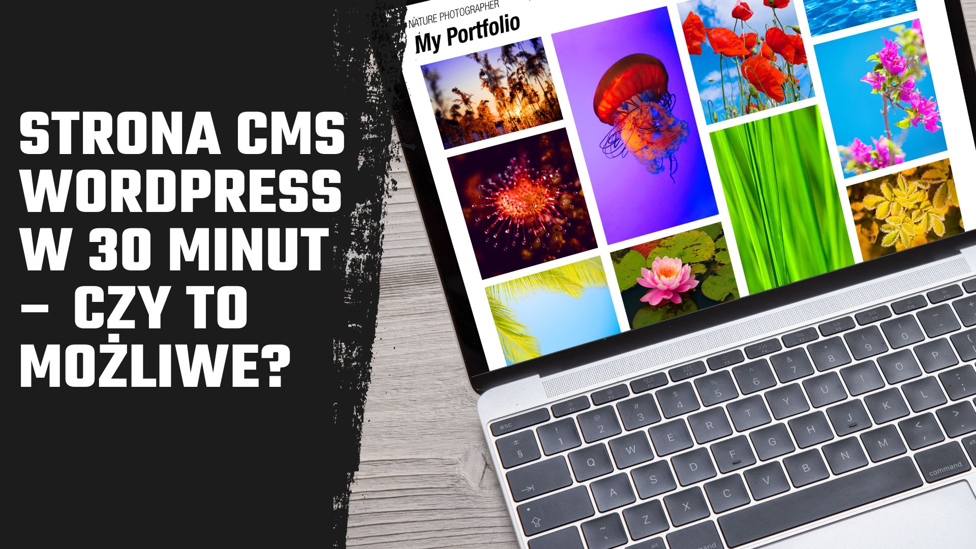 projekt Strona CMS WordPress w 30 minut - czy to możliwe?