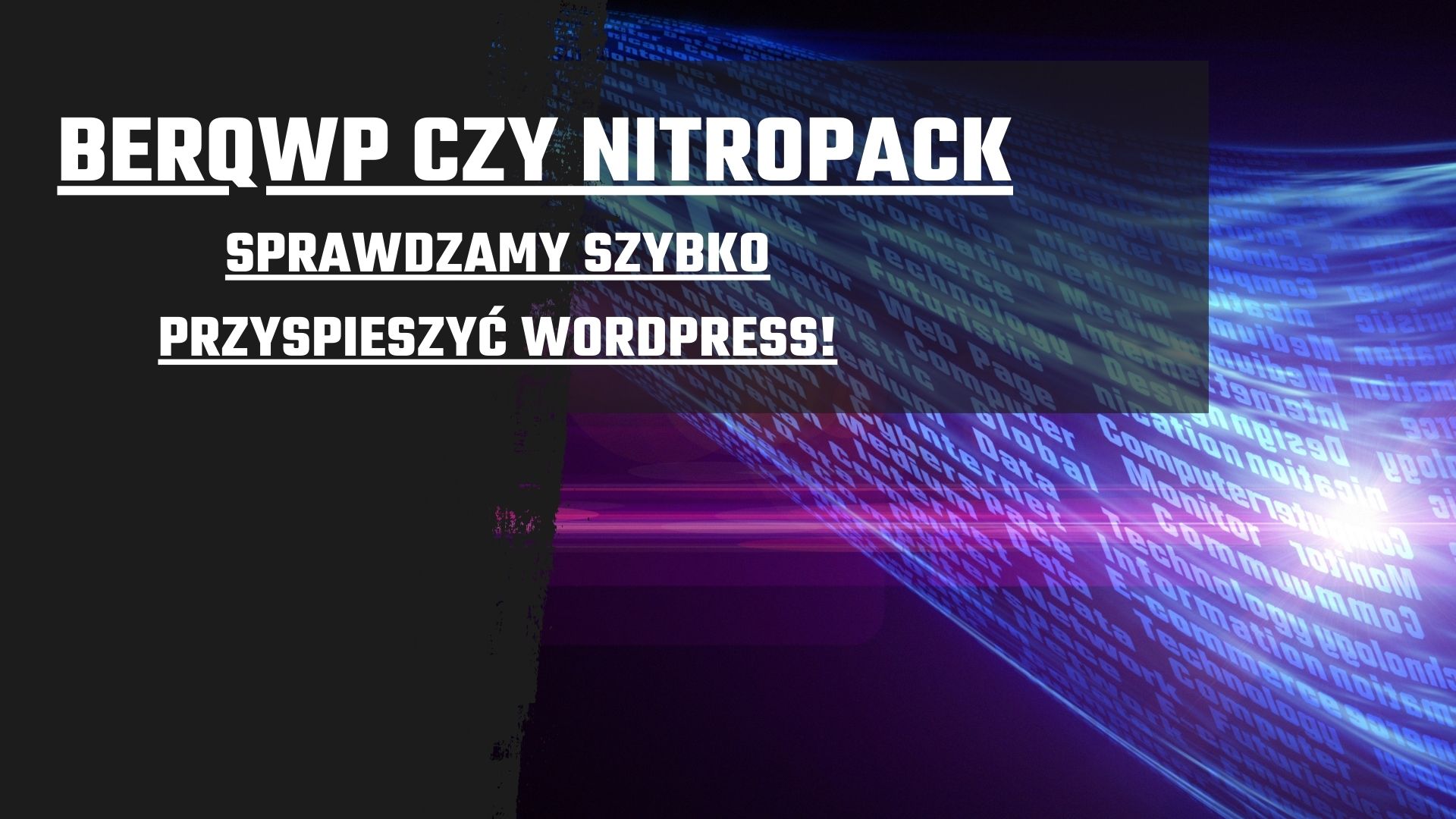 BerqWP czy NitroPack? Sprawdzamy szybko przyspieszyć WordPress!