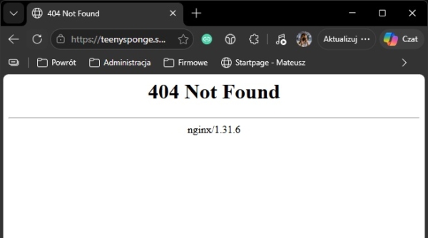 Przykład wpływu wtyczki na&nbsp;element strony