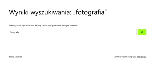 Wynik wyszukiwania przed rozszerzeniem wyszukiwarki o tagi